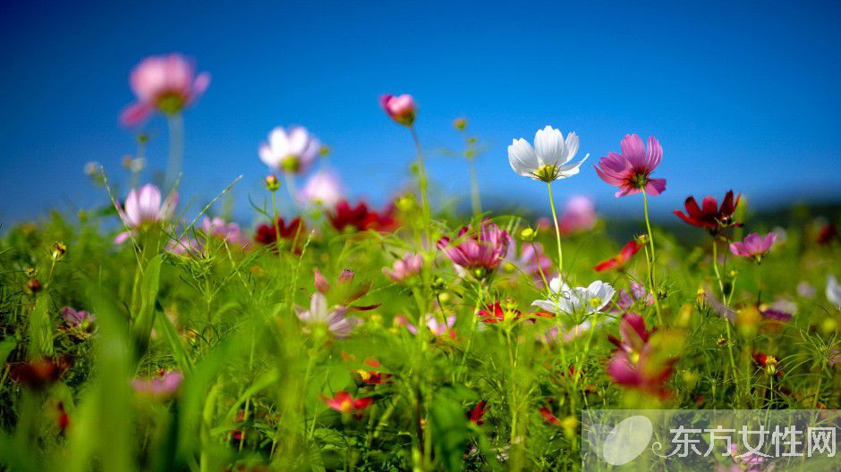 春天養(yǎng)生之道推薦 做好這三點身體棒棒噠