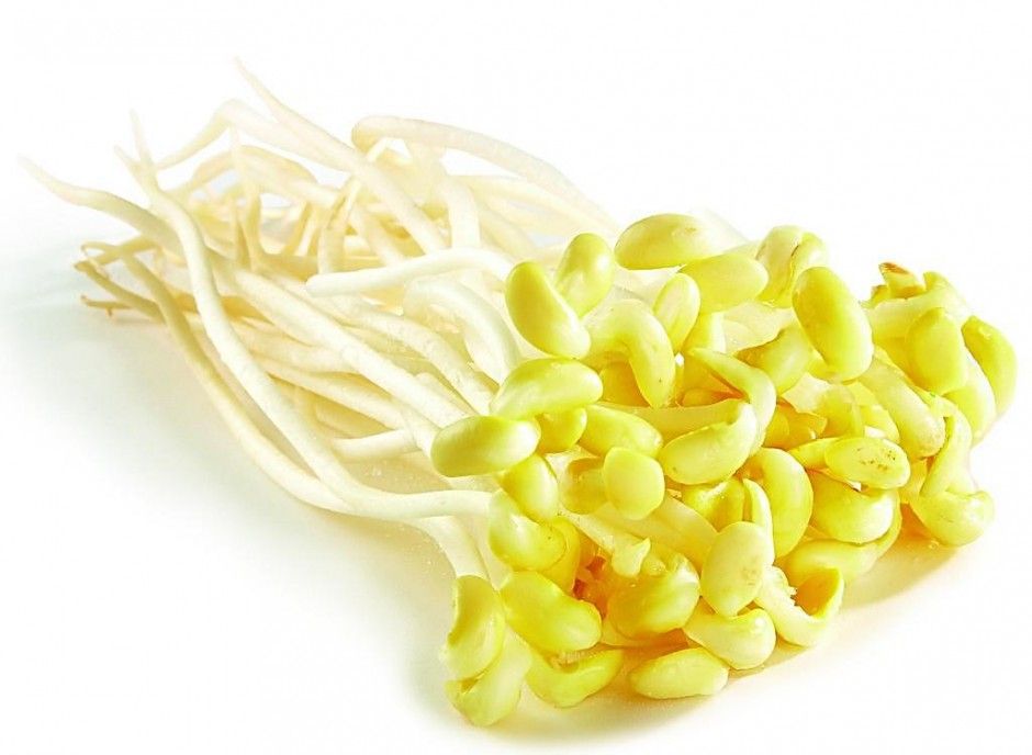 春季養(yǎng)生之道推薦 做好十點(diǎn)讓疾病遠(yuǎn)離你