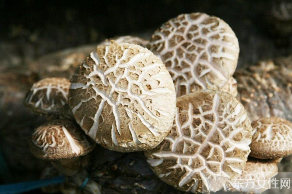 花菇和香菇的區(qū)別 花菇的營(yíng)養(yǎng)價(jià)值居然這么高