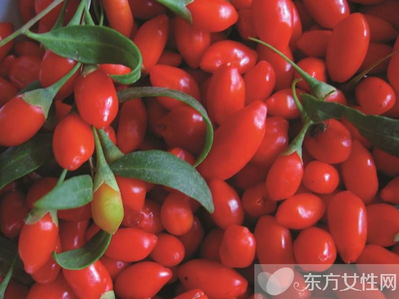 枸杞子泡水放多少 這類人群最好不要吃枸杞哦