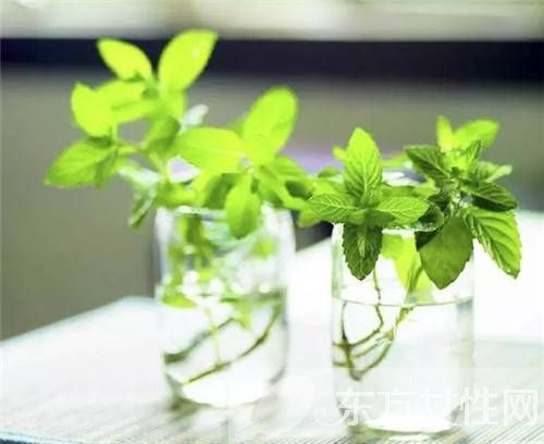 美容護(hù)膚小知識(shí)介紹 油性皮膚怎么洗臉更干凈