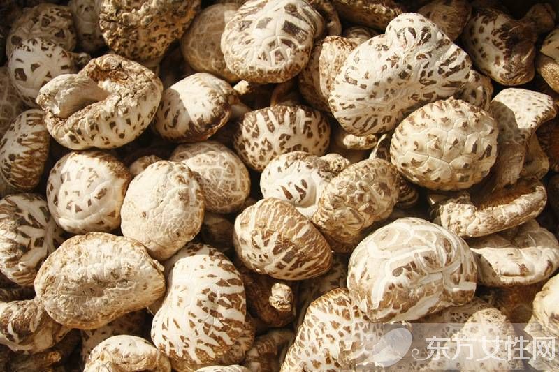 花菇和香菇的區(qū)別 花菇的營(yíng)養(yǎng)價(jià)值居然這么高