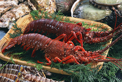 吃海鮮不能吃什么 揭食用海鮮必知禁忌