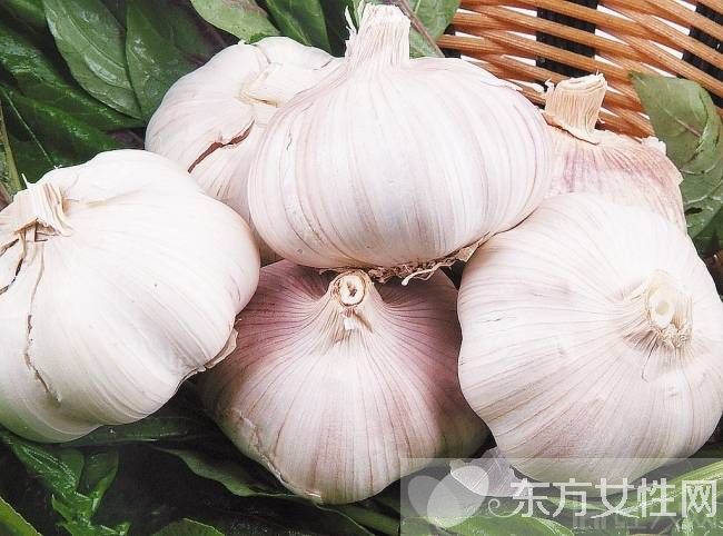 大蒜的功效與作用 大蒜的最佳養(yǎng)生吃法推薦