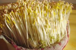 春季養(yǎng)生之道推薦 做好十點(diǎn)讓疾病遠(yuǎn)離你