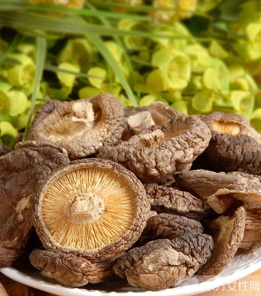 冬菇的營養(yǎng)價值介紹 美味冬菇肉餅的家常做法推薦