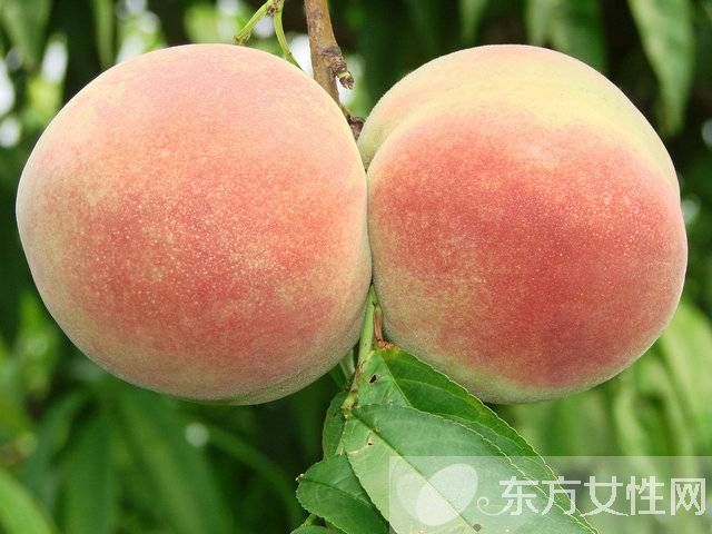 桃子吃多了會怎么樣 這類人群不宜吃桃子哦