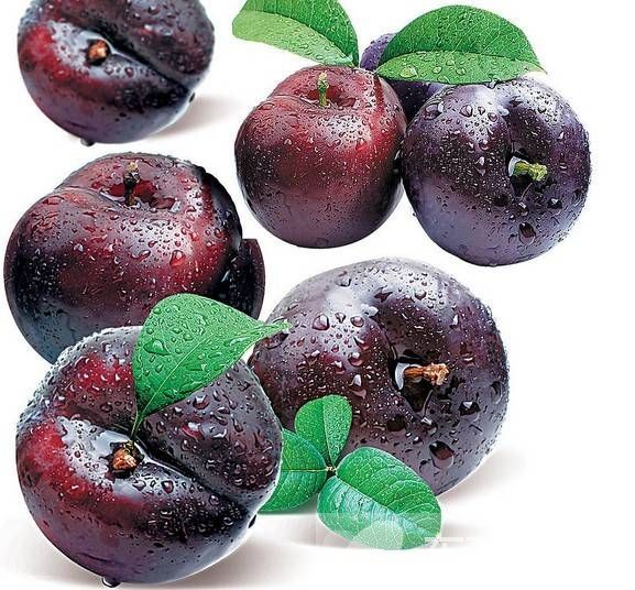 二陳湯的功效與作用 二陳湯什么時(shí)候喝比較好