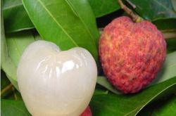 夏季飲食養(yǎng)生最佳開胃食物 夏天不得不吃的水果推薦