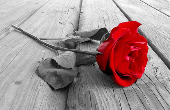 失戀必經(jīng)階段 要怎么做才能忘記失戀痛苦