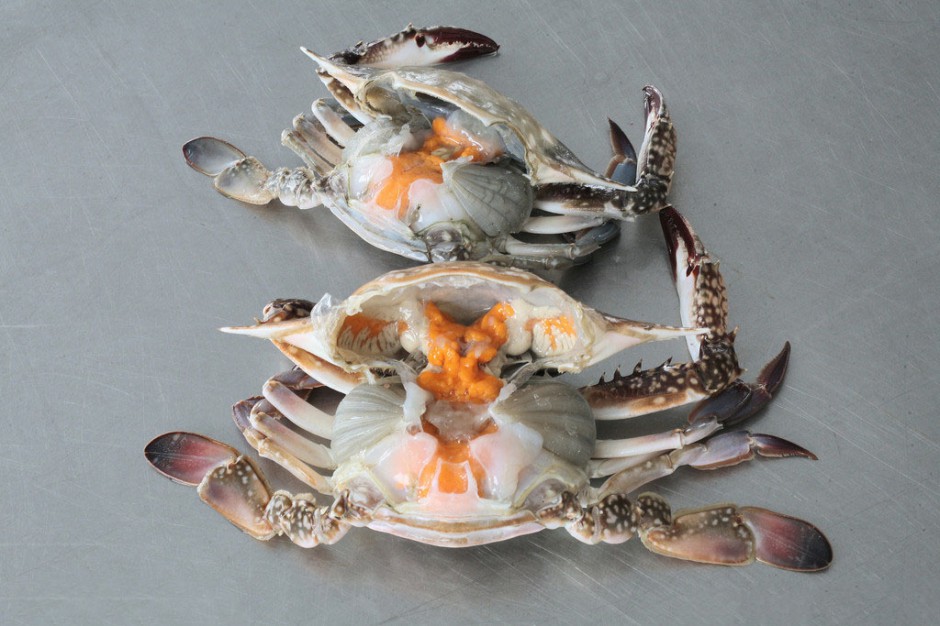 海蟹的兩種家常做法 哪種人不宜吃海蟹