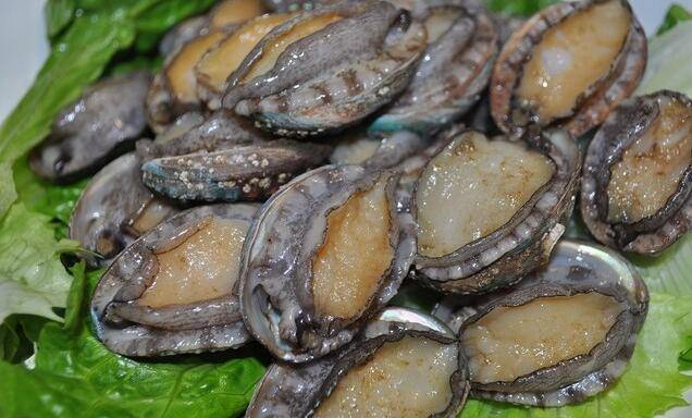 鮑魚怎么做好吃 教你三種簡(jiǎn)單家常做法