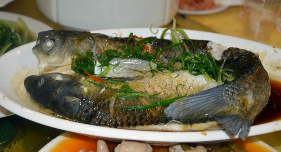 清蒸魚怎么做最美味 探究魚的營養(yǎng)價值