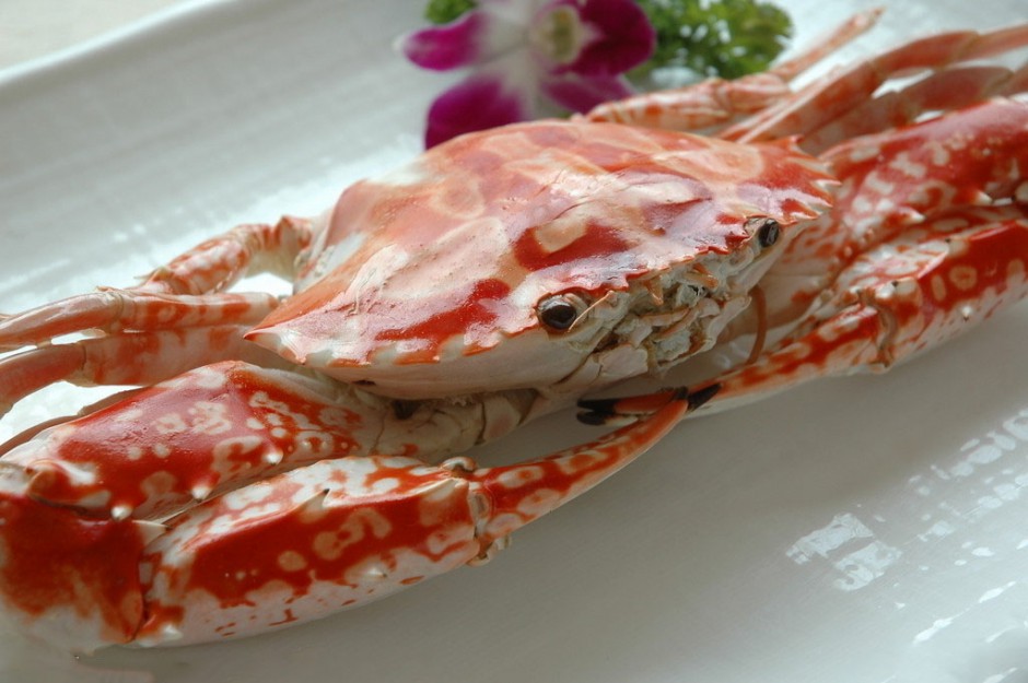 海蟹的兩種家常做法 哪種人不宜吃海蟹