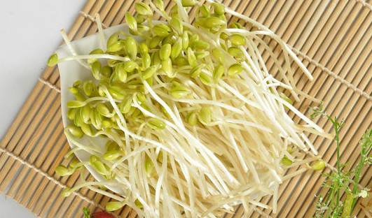 手把手教你豆芽菜的營(yíng)養(yǎng)做法