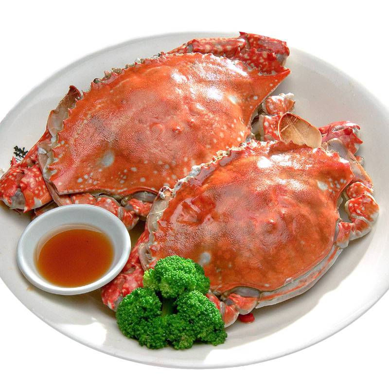 海蟹的兩種家常做法 哪種人不宜吃海蟹