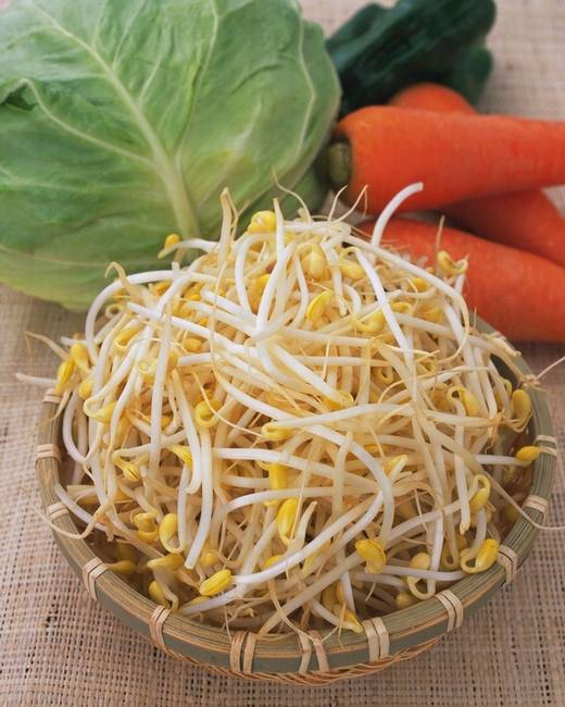 手把手教你豆芽菜的營養(yǎng)做法