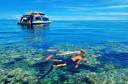 蜜月旅行地推薦 你最鐘愛(ài)哪個(gè)