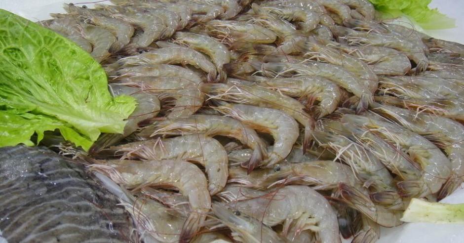 美味番茄大蝦的做法大全 就要這個(gè)味