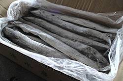 帶魚的家常做法大公開 煎魚的小竅門要掌握