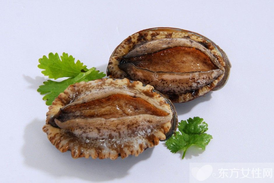 鮑魚的營養(yǎng)價(jià)值及功效 鮑魚的美味家常做法推薦