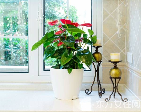 如何裝修婚房 四大客廳風(fēng)水禁忌須注意