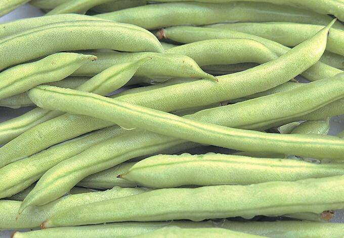 揭排骨燉豆角的4種家常做法