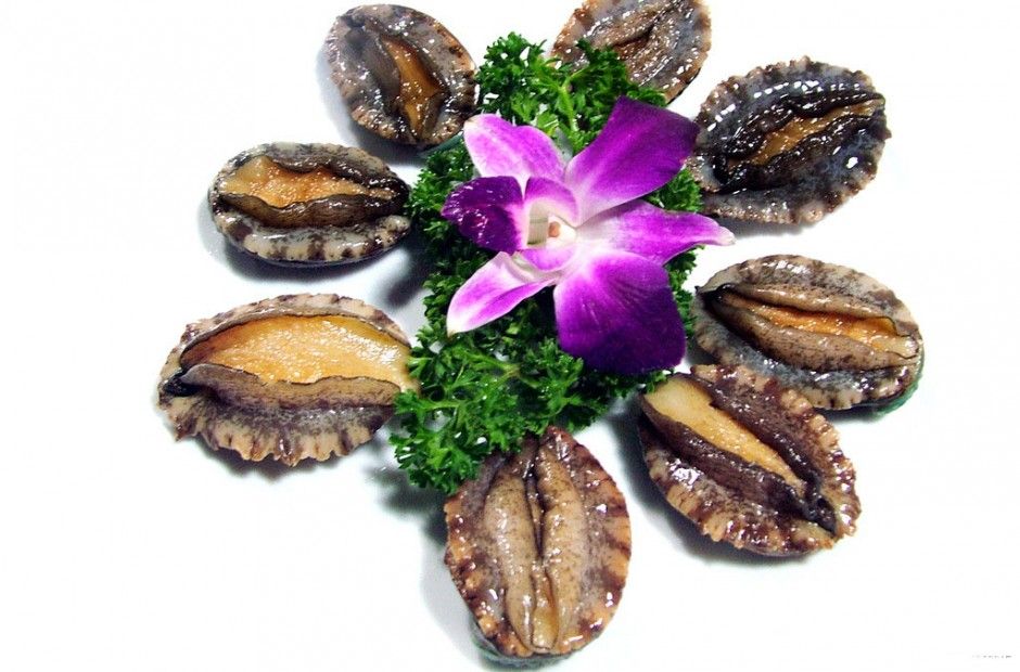 鮑魚的營養(yǎng)價(jià)值及功效 鮑魚的美味家常做法推薦