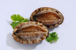 鮑魚的營養(yǎng)價值及功效 鮑魚的美味家常做法推薦