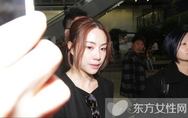 方力申鄧麗欣演過的電影 鄧麗欣含淚談分手真相