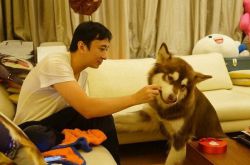 盤點王思聰上過的女人 國民老公一出手就是幾百萬