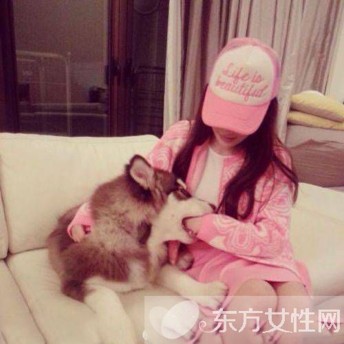 王思聰與趙子易現(xiàn)身機場被拍 鏟屎官為何能獨寵后宮