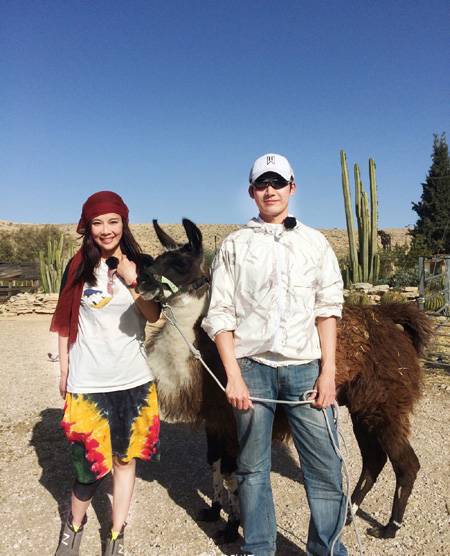 張鐸個人資料 張鐸稱與陳松伶是丁克一族