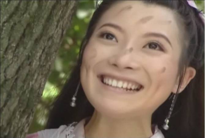 張琰琰富豪老公遭扒 盤(pán)點(diǎn)張琰琰演過(guò)的電視劇