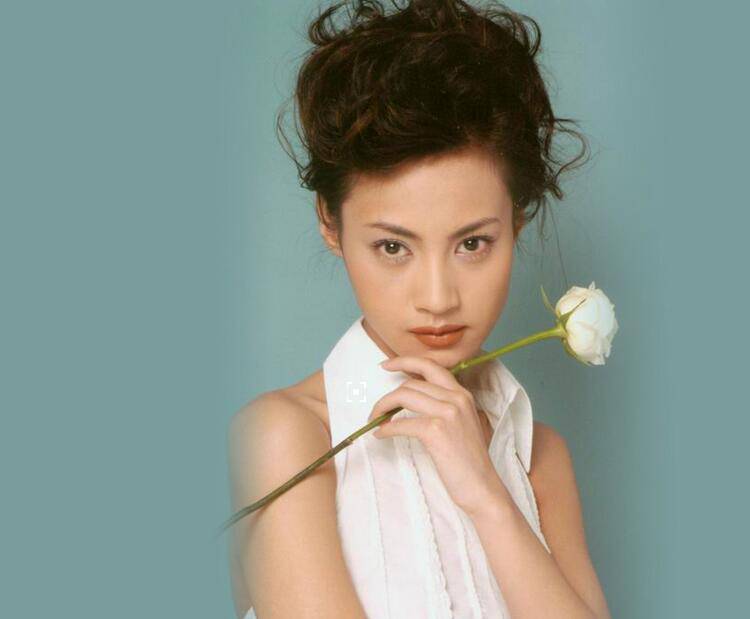 揭楊雪個人資料背景 老公女兒罕見照遭曝光