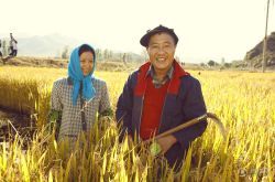 鄉(xiāng)村愛(ài)情8什么時(shí)候上映 趙本山暴怒不留情小姨子也NG