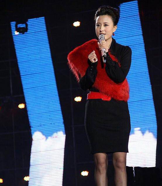 央視主播張蕾億萬富豪老公曝光 揭張蕾個人資料背景