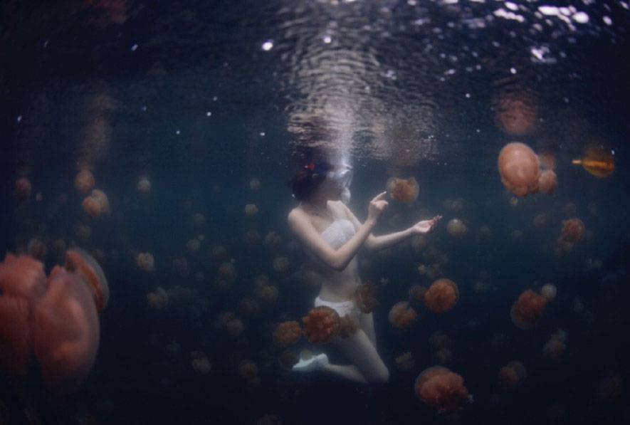 陳赫前妻許婧懷孕大肚照曝光 許婧驚人家庭背景大揭秘