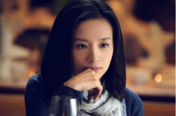 揭秘董潔與前任老公潘粵明的離婚真相