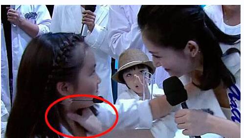 謝娜簡歷曝光 揭秘謝娜為什么下跪道歉