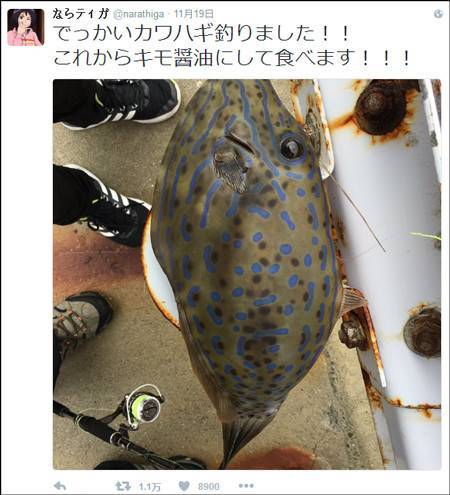 吃魚前曬照片 竟撿回了一條命