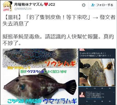 吃魚前曬照片 竟撿回了一條命