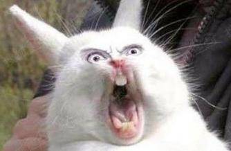 因與人發(fā)生口角被捅 腹部巨大腫瘤幫他擋3刀