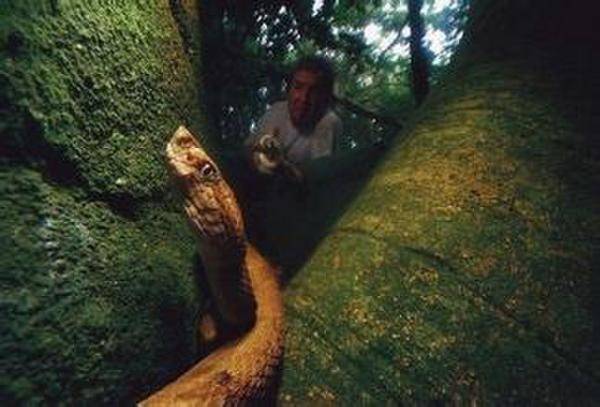 地球上十大禁止人類入內(nèi)的毒物危險(xiǎn)地帶