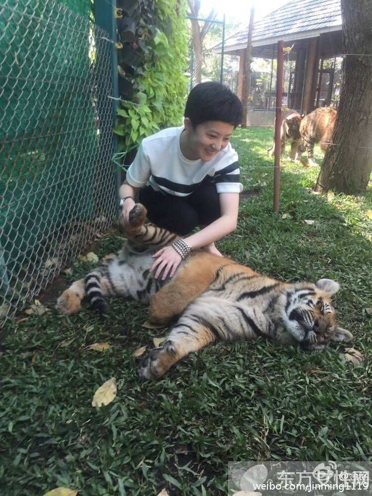 金銘結(jié)婚了嗎 回顧金銘的成長經(jīng)歷