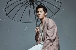 楊洋胡冰卿緋聞是真是假 楊洋個人資料遭扒