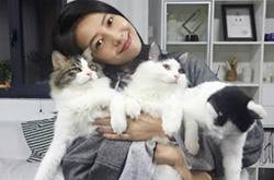 高圓圓懷孕了嗎 高圓圓個(gè)人資料曝光