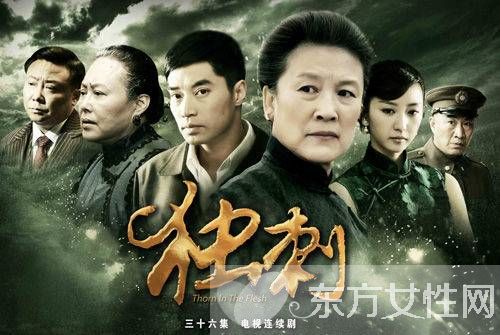 電視劇《獨刺》劇情介紹 《獨刺》演員表