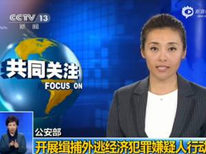 浙江永康美女老板幫弟弟還賭債惹詐騙罪 出逃非洲終被捕