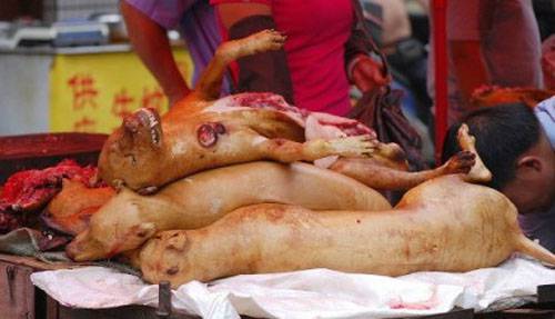 玉林狗肉節(jié)辯論會 玉林狗肉節(jié)殺狗圖片